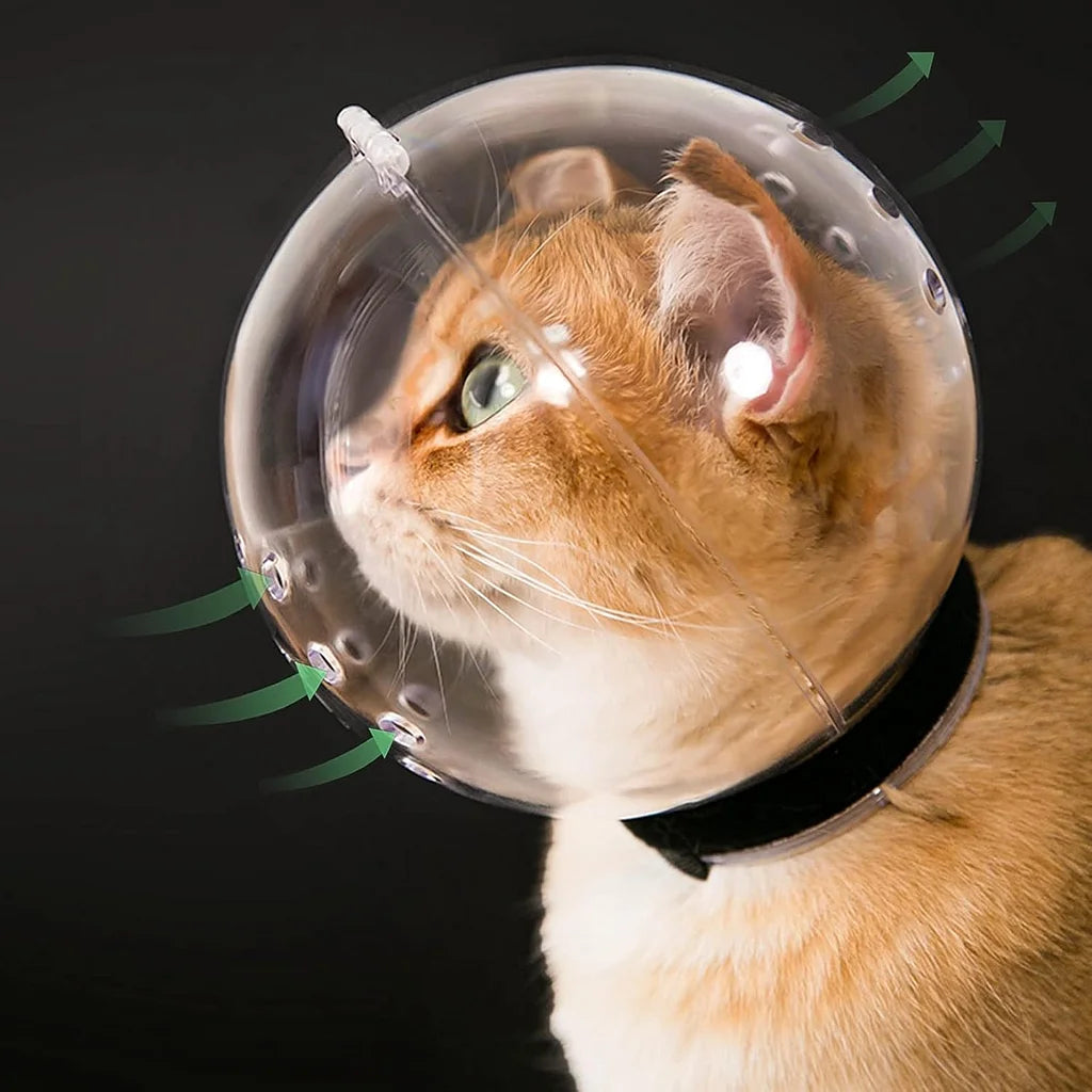 Cat Transparent Muzzle with Breathable Hood