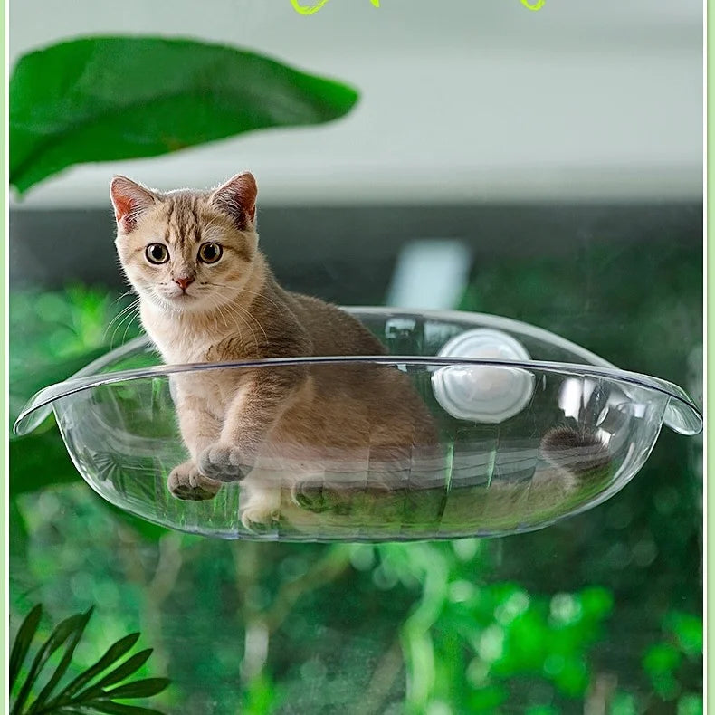 Cat Window Perch