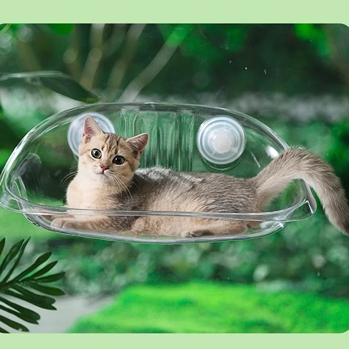 Cat Window Perch