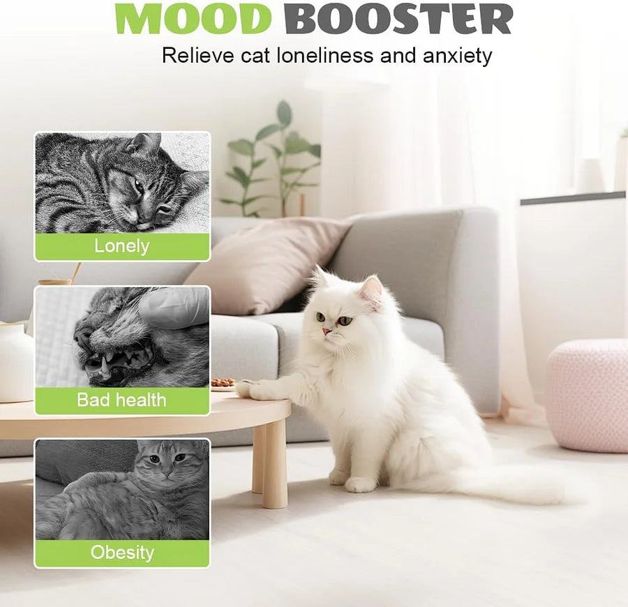 Smart Motion Cat Toy with Worm Design - Automatic Interactive Kitten Teaser with Feather | Self-Moving & Battery Operated