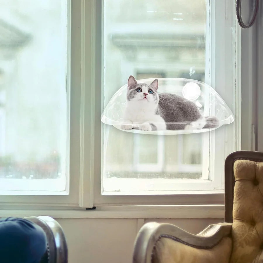 Cat Window Perch