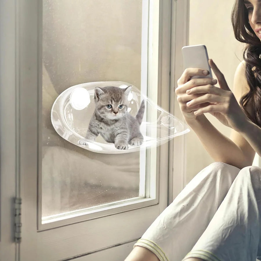Cat Window Perch
