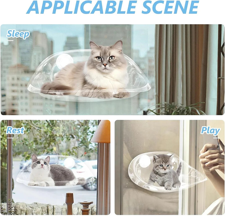 Cat Window Perch