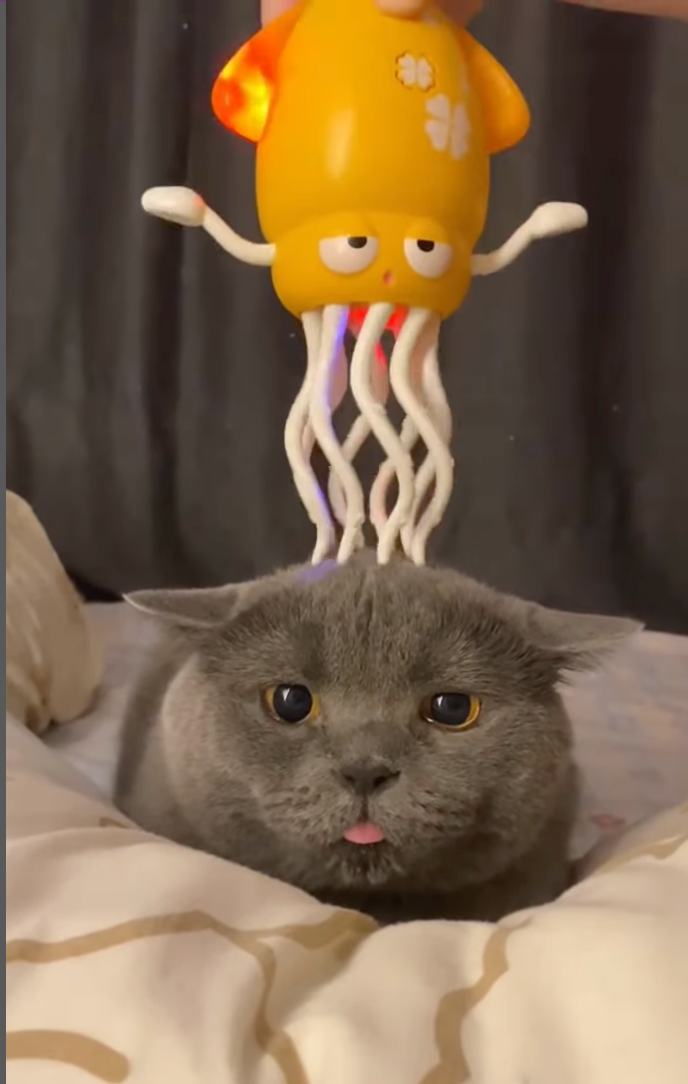 Electric Auto-Avoid Octopus | Stress Relief Gift