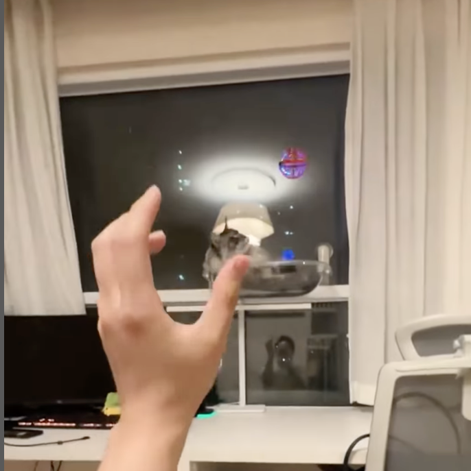 Flying Orb Ball Toys