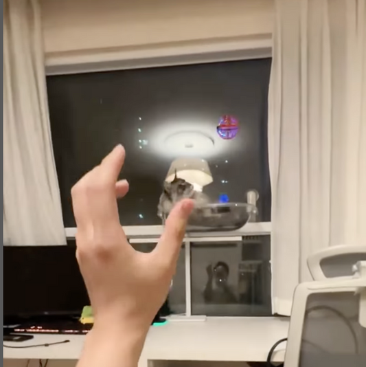 Flying Orb Ball Toys